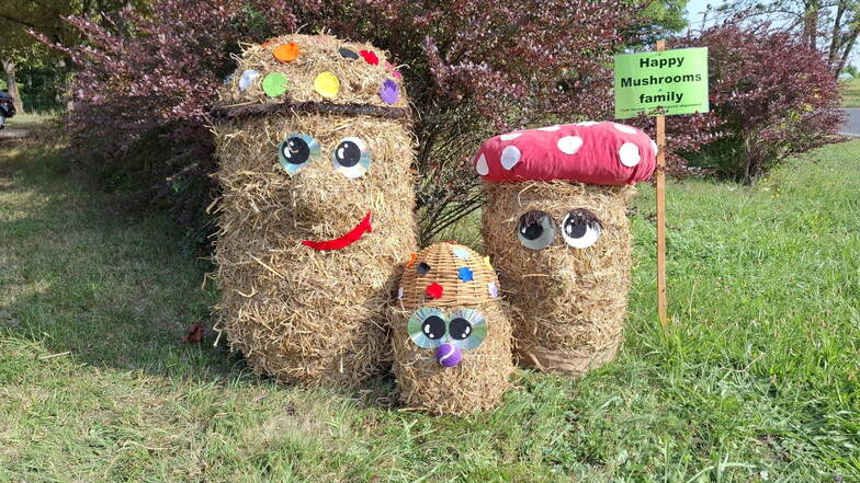 Die Pilzgruppe "Happy Mushrooms" der Brücke Wohnstätten war erst vor wenigen Tagen gestohlen worden und gewann trotzdem.