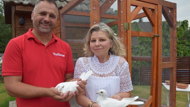 Robert und Liane Maaß züchten Brieftauben. Die weißen Vögel kommen bei Hochzeiten zum Einsatz.