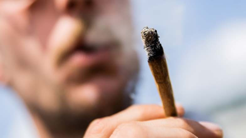 Sachsen ist auf die Legalisierung von Cannabis schlecht vorbereitet