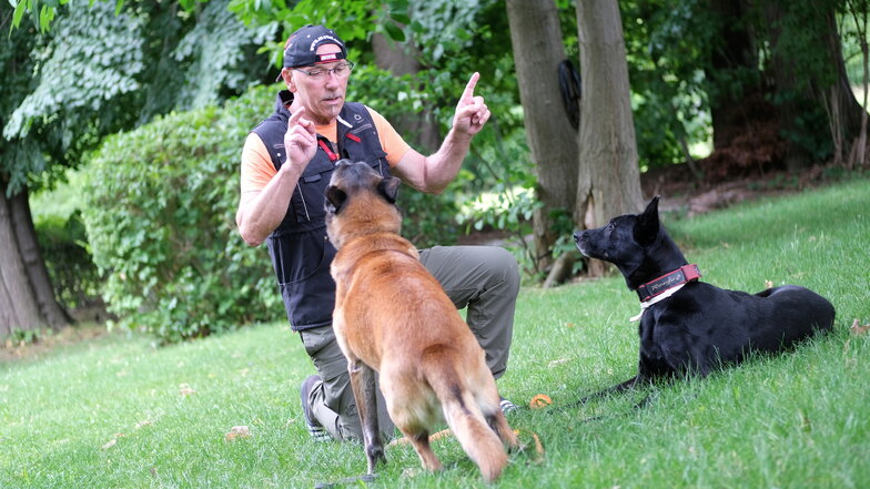 Die beiden Diensthunde Lucky (l.) und Ronja hören bei Udo Taubner aus Nossen aufs Wort.