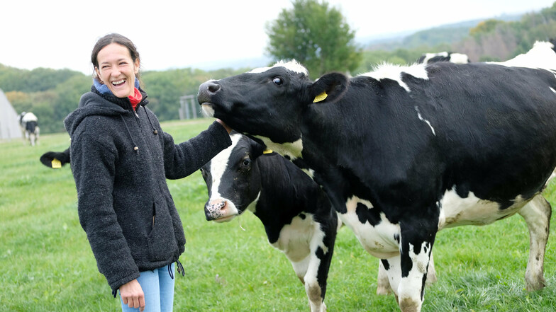 Bio-Landwirtin Constanze Maier zieht für eine kurze Zeit trächtige Milchkühe in Nossen auf. Dann kehren die Tiere wieder ins Erzgebirge zurück.