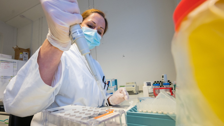 Wenn die Corona-Warn-App ein erhöhtes Risiko anzeigt, bekommt man an etlichen Stellen im Landkreis Bautzen einen kostenlosen PCR-Test.