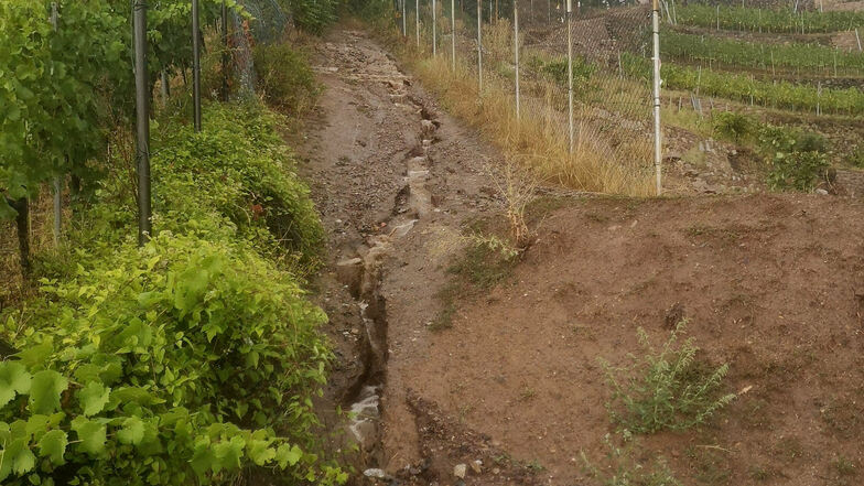 Der Sächsische Weinwanderweg - der Eggersweg in Radebeul - ist vom Starkregen am Montagvormittag bis zu einem halben Meter tief ausgespült worden.