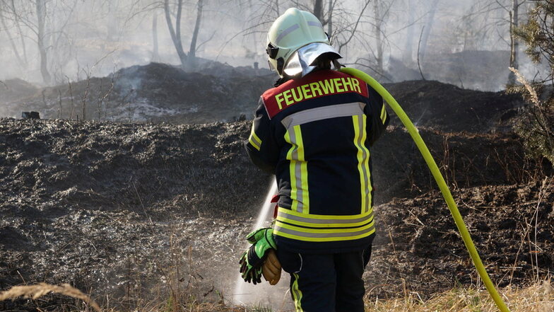 Flammen im Kamenzer Forst: War es Brandstiftung?