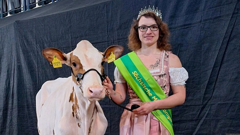 Erst Mitte vergangenen Jahres hat Jenny Krawczyk ihre Lehre zur Tierwirtin abgeschlossen – als Beste in Mittelsachsen. Jetzt ist sie Sächsische Milchkönigin.