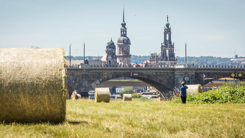 Trockenheit und auch heiße Tagen prägten das Wetter in Dresden im vergangenen Jahr.
