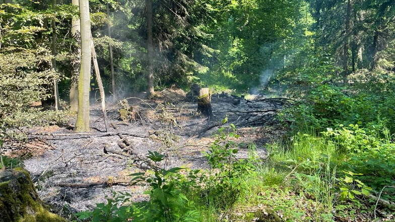 Brandstiftung im Tharandter Wald?