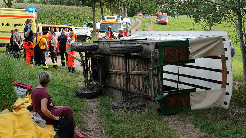 Unfall mit Pferdekutsche in Klingenberg: "Wir haben mit dem Schlimmsten gerechnet"