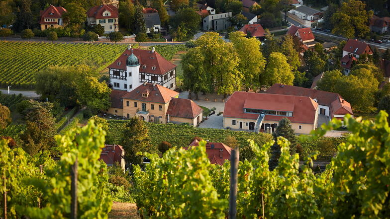 Das Weingut Hoflößnitz nutzt das verlängerte Wochenende, um den Wein zu feiern.