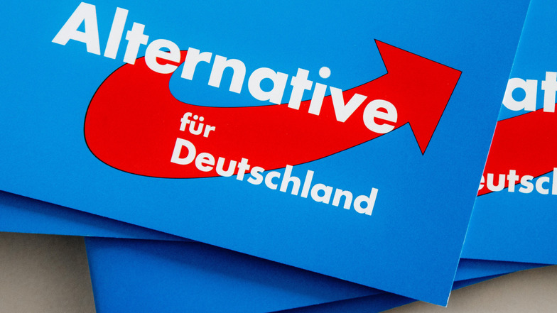 Die Alternative für Deutschland tritt erstmals in einigen Gemeinden des Kreises zur Kommunalwahl an - auch in Löbau.