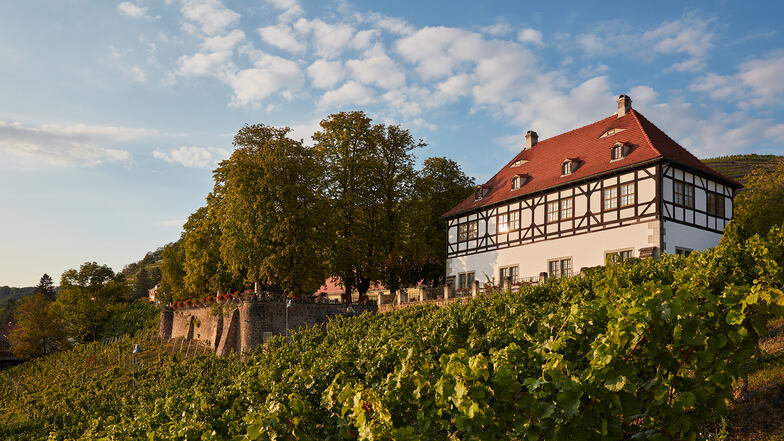 Das Weingut Hoflößnitz ist das erste zertifizierte ökologisch wirtschaftende Weingut Sachsens.