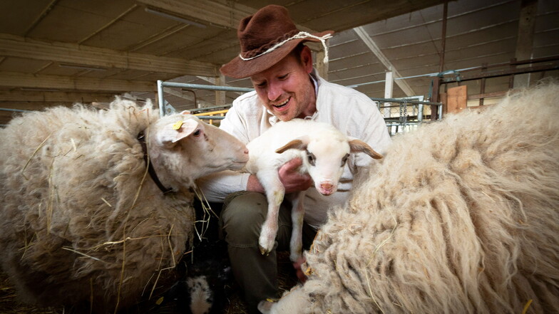 Daniel Hammer vom Wunderland-Verein bereitet die Schur der Schafe vor.