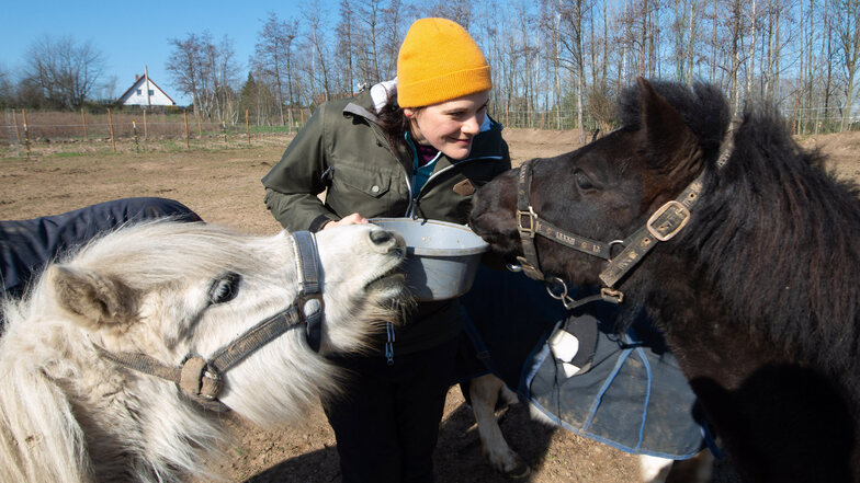 In Niedersedlitz hat Nicolett Menge einen Ponyhof aufgebaut. Nun fehlen ihr Reitschüler und damit Einnahmen. Ihre Pferde wollen trotzdem versorgt sein.