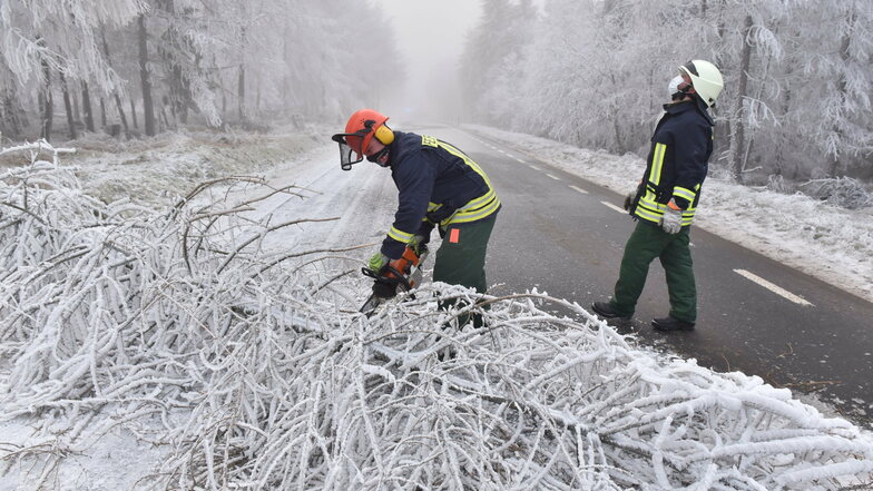 Die Altenberger Feuerwehr rückte zur Verbindungsstraße zwischen Altenberg und Rehefeld aus. Dort waren Bäume unter der Raureif-Last zusammengebrochen.