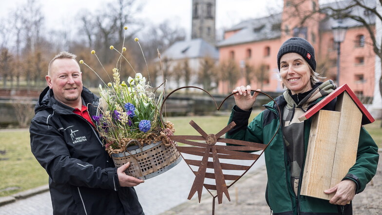 Sorgen zum Saisonstart für einen Farbenrausch auf dem Königstein: Festungsgärtner René Häntsch und seine Kollegin Gabriela Vavrova läuten das "1. Königsteiner Frühlingserwachen" ein.
