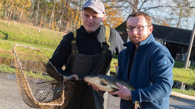 Fischwirt Florian Tandler und Geschäftsführer Andreas Hilger (r.) in der Teichwirtschaft Zschorna.