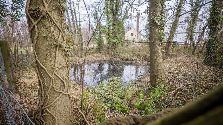 Die Teich soll Nazi-Überreste und Munition sowie Waffen vom Volkssturm 1945 beherbergen.