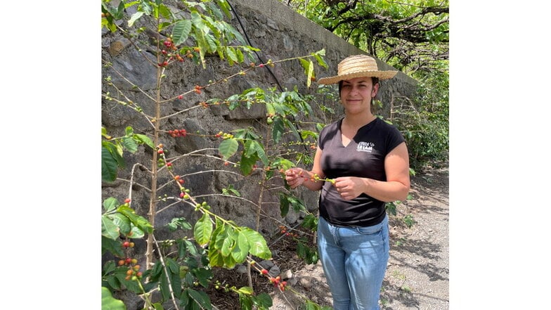 Paloma Ramos führt Touristen durch die Kaffeeplantage der Bodega los Berrazales.