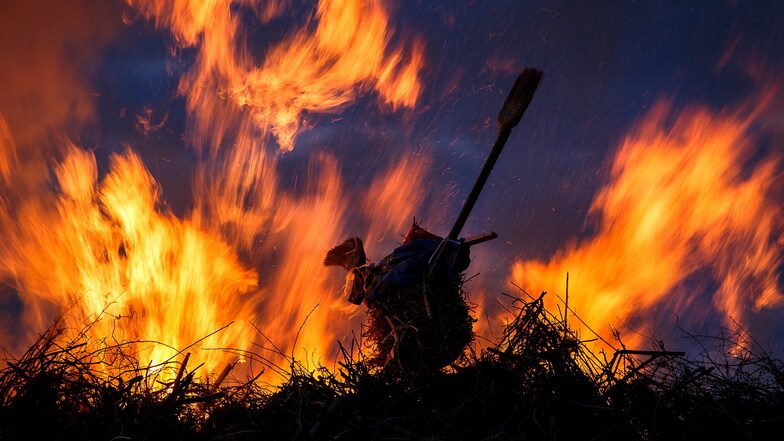 Gegen den Borkenkäfer darf auch Schlagabraum im Wald unter bestimmten Bedingungen verbrannt werden.