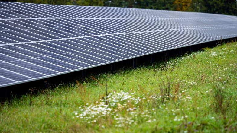 Der geplante Solarpark bei Sebnitz wäre der bislang größte in der Region.