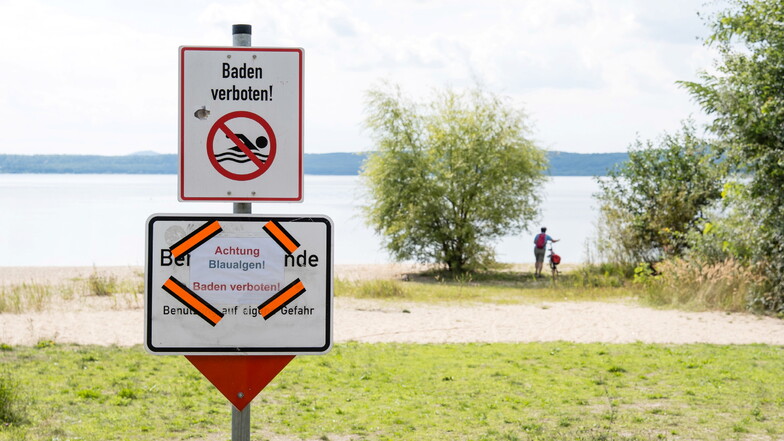 Baden ist im Berzdorfer See wieder überall erlaubt