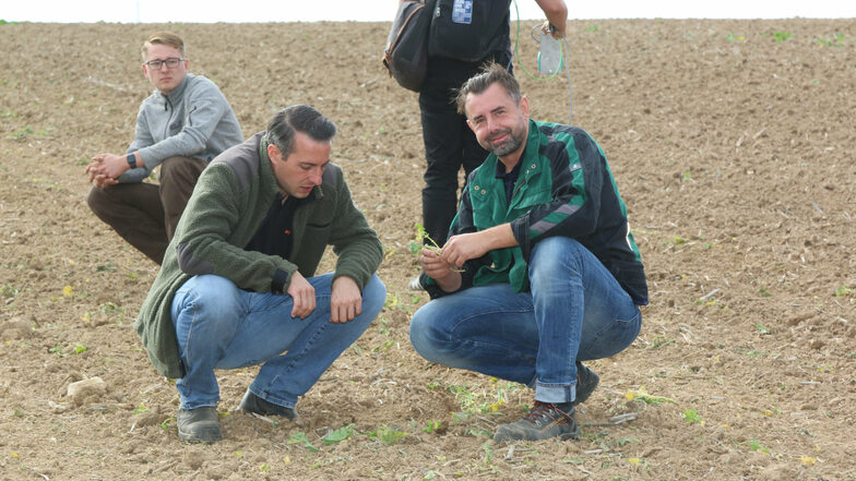 Daniel Kunzendorf (rechts) von der Südzucker AG Lüttewitz und Stephan Döbler, Verkaufsberater der Firma Agroplanta, begutachten den Boden, nachdem das Saatgut eingebracht ist.