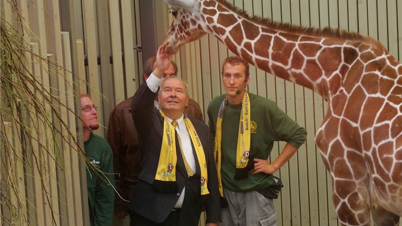 Im Oktober übernahm Dynamo Dresden die Patenschaft für die Giraffe Abidemi. Als Christian Dinter vom Dynamovorstand im Oktober 2008 unter Aufsicht der Tierpfleger auf Tuchfühlung ging, war nur der kleinere Bulle Ulembo an einem Kontakt interessiert.
