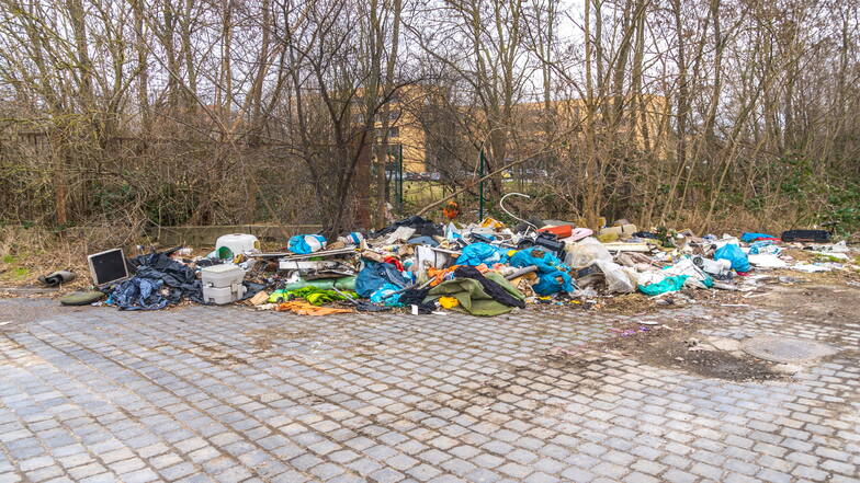 Hinter der Agentur für Arbeit in Riesa wird seit Jahren illegal Müll abgelagert. Auch ein benachbartes Grundstück ist zunehmend betroffen.
