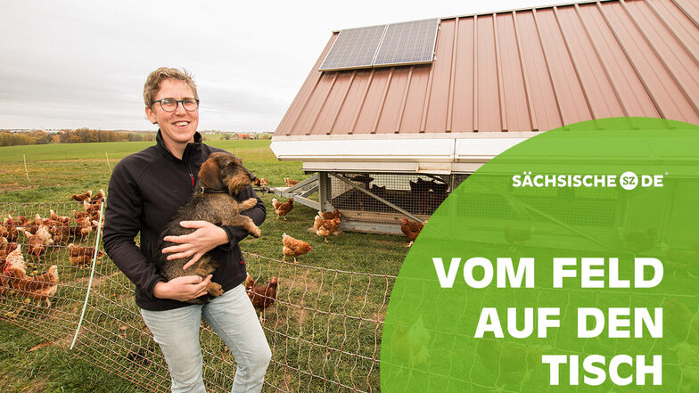 Katrin Schumann hält in Niederforst bei Roßwein Hühner. Diese leben in Hühnermobilen, die sogar über ein sogenanntes Lichtmanagment verfügen.