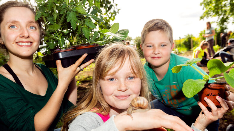 Coco und Theo aus der Klasse 4b bauen zusammen mit Ackerhelferin Wanda Bourras und ihren Mitschülern der Wachauer Grundschule viele Gemüsesorten an.