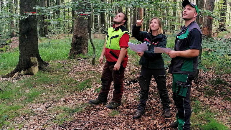 Catja Geyer (Mitte) ist neuen Leiterin des Nationalparkreviers Schmilka und koordiniert die Einsätze der Ranger.