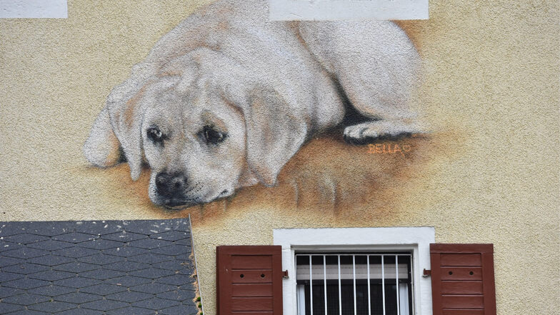 Trauriger Blick nach dem Einbruch: Wandgemälde an der Fassade des Tierheims Freital.