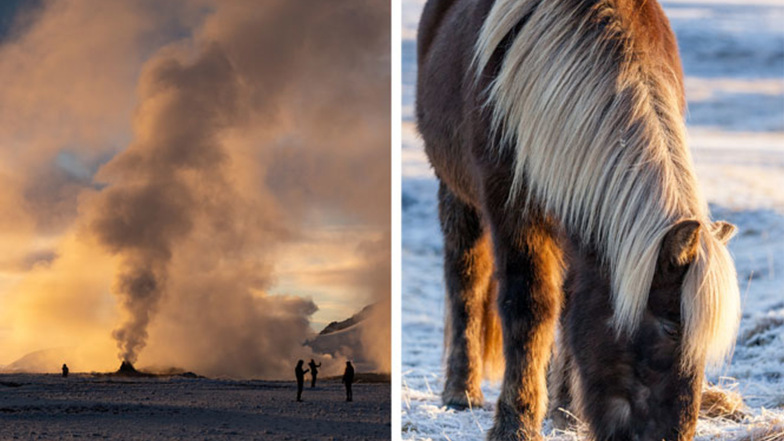 Beinahe gespenstisch: die qualmenden Solfataren des Namafjall im Morgenlicht.
 (l.) Die Islandpferde trotzen auch im Winter Sturm und strengen Minusgraden. 