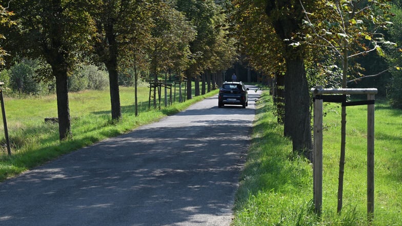 Die Rathausallee in Bernsdorf ist schön, aber sehr schmal. Deshalb setzen sich Eltern dafür ein, dass sie verkehrsberuhigt wird.