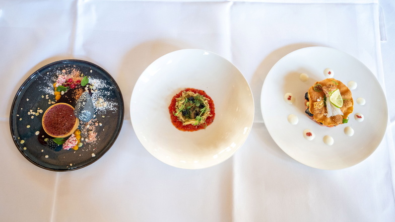 Ein kleiner Blick in die Kochsternstunden 2024: Links das Dessert vom Carolaschlösschen, in der Mitte die Vorspeise vom "Nicht Fisch nicht Fleisch", rechts die Vorspeise vom "Schönburger Palais" als Gewinner 2023.