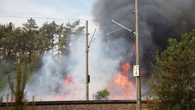 Fast 300.000 Euro Schaden durch Waldbrände im Landkreis Meißen