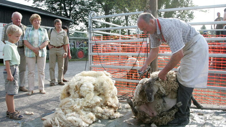 Der bereits 22. Schaf- und Wollmarkt der Gemeinde Haselbachtal findet am Sonntag, den 15. September 2024 an der Festscheune in Reichenbach statt.