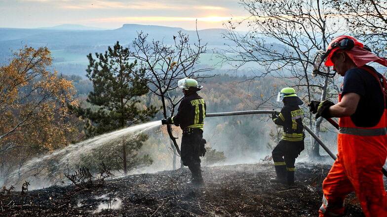 Waldbrand am Großen Winterberg Ende Oktober 2021. Immer wieder müssen die Feuerwehren zu Bränden im Nationalpark ausrücken.