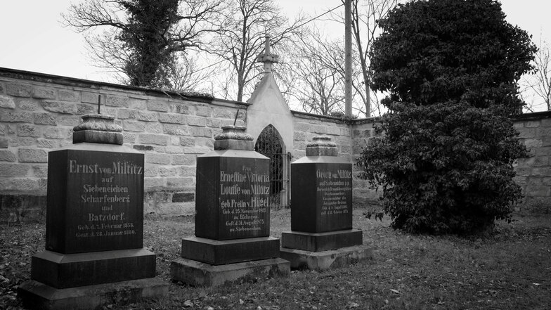 Von Efeu komplett überwachsen liegt ganz rechts das Grab des sächsischen Reformers, Romantikers und Militärs Dietrich von Miltitz auf dem Martinsfriedhof.