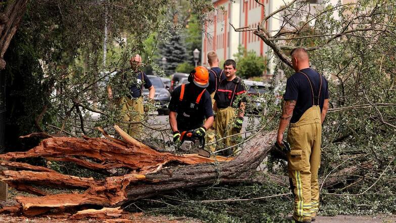 Der umgestürzte Baum musste von der Feuerwehr zersägt werden.