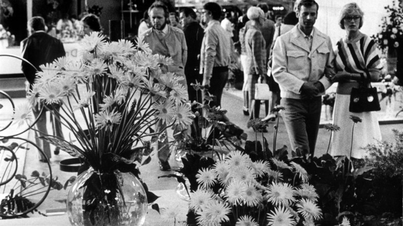 Die Ausstellung "Blütensommer" Anfang September 1980. Nach der Zerstörung des Palastes am früheren Stübelplatz entstand nach dem Krieg ein neues Ausstellungsgelände am damaligen Fucikplatz (heute Straßburger Platz).
