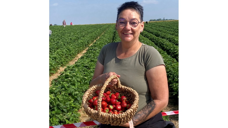 Silke Pollscheit hat am Freitag noch ein paar Erdbeeren ernten können.