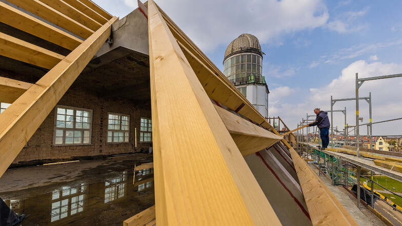 Bei der Erneuerung von 4.000 m2 Dachfläche auf dem Beyerbau verarbeitet der Bau Dresden Gruna 220 m3 Holz verschiedener Qualität. Der Auftrag ist mit rund einer Million Euro veranschlagt. Noch.