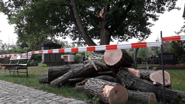 Ein Teil des unteren Friedhofs in Glaubitz ist abgesperrt. Dort waren Äste einer Eiche abgebrochen.