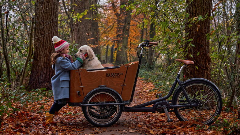 Der Hundetransporter: Babboe ist ein Lastenradhersteller aus den Niederlanden. Die Dreiräder mit der charakteristischen Holzbox auf der Vorderachse eignen sich für die Mitnahme von Kindern ebenso wie für den Hundetransport. Elektrifizierte Modelle kosten mindestens 3.600 Euro.