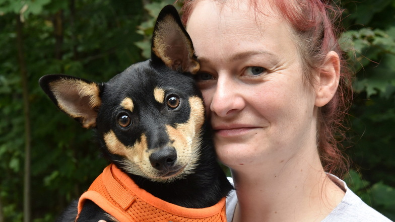 Schmuggelwelpen versorgen ist zurzeit Alltag im Freitaler Tierheim. Auch Lumpi, hier mit Tierpflegerin Romy Rösner, sucht ein neues Zuhause.
