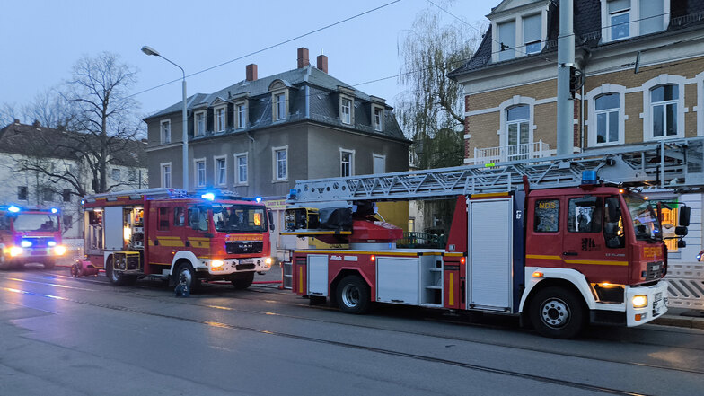 Polizei nimmt Mülltonnen-Brandstifter in Dresden fest
