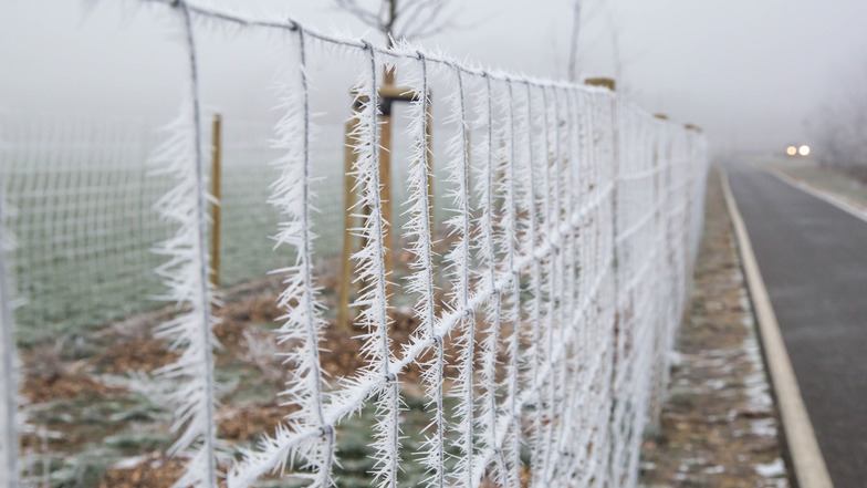 Bizarre Gebilde schaffen Eiskristalle, wenn die Temperaturen so sind, wie in der Nacht von Sonntag auf Montag. Das Foto zeigt den Zaun an der Straße zwischen Niesky und See in Höhe des Friedhofes Ödernitz.