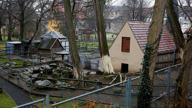 Ab Sonnabend ist der Kamenzer Ziegenpark wieder für Besucher geöffnet.