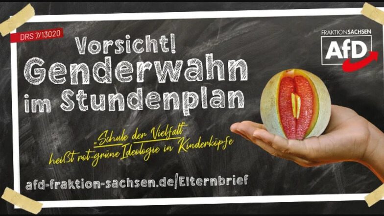 Banner der AfD-Kampange gegen das Projekt "Schule der Vielfalt".